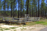 CLICK HERE TO ENLARGE PHOTO