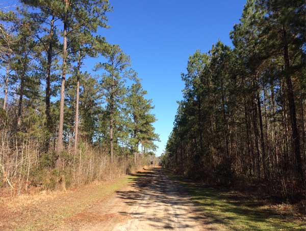 Hanna Disen Tract 