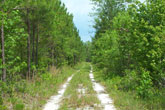 CLICK HERE TO ENLARGE PHOTO