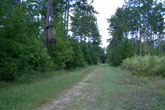CLICK HERE TO ENLARGE PHOTO