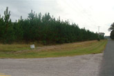 Mixon Tract